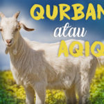 Qurban Atau Aqiqah